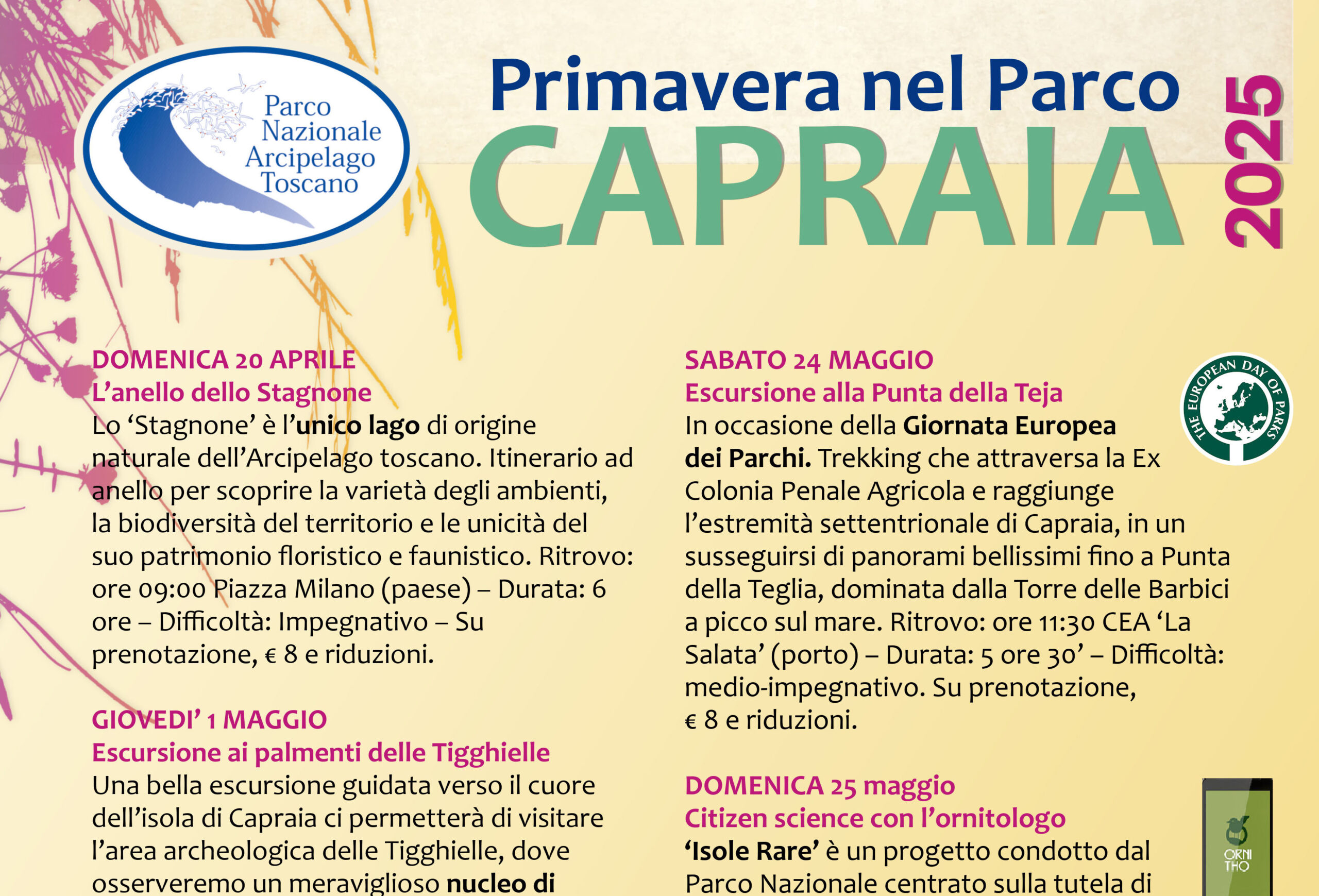 Escursione ai palmenti delle Tigghielle